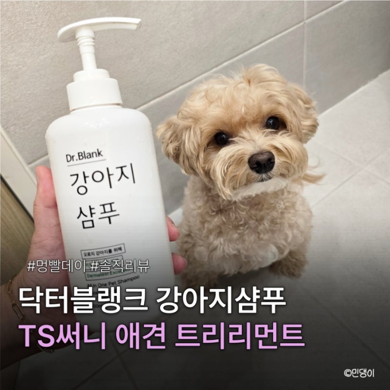 닥터블랭크 강아지샴푸, TS써니애견트리트먼트 솔직리뷰