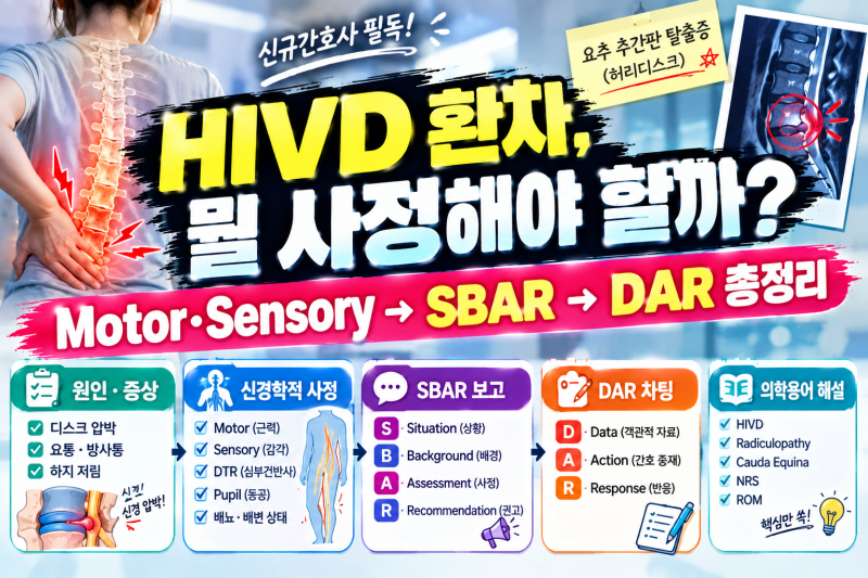 [NS] HIVD(요추 추간판 탈출증) 간호 핵심 정리｜신경학적 사정·SBAR 보고·DAR 차팅·의학용어