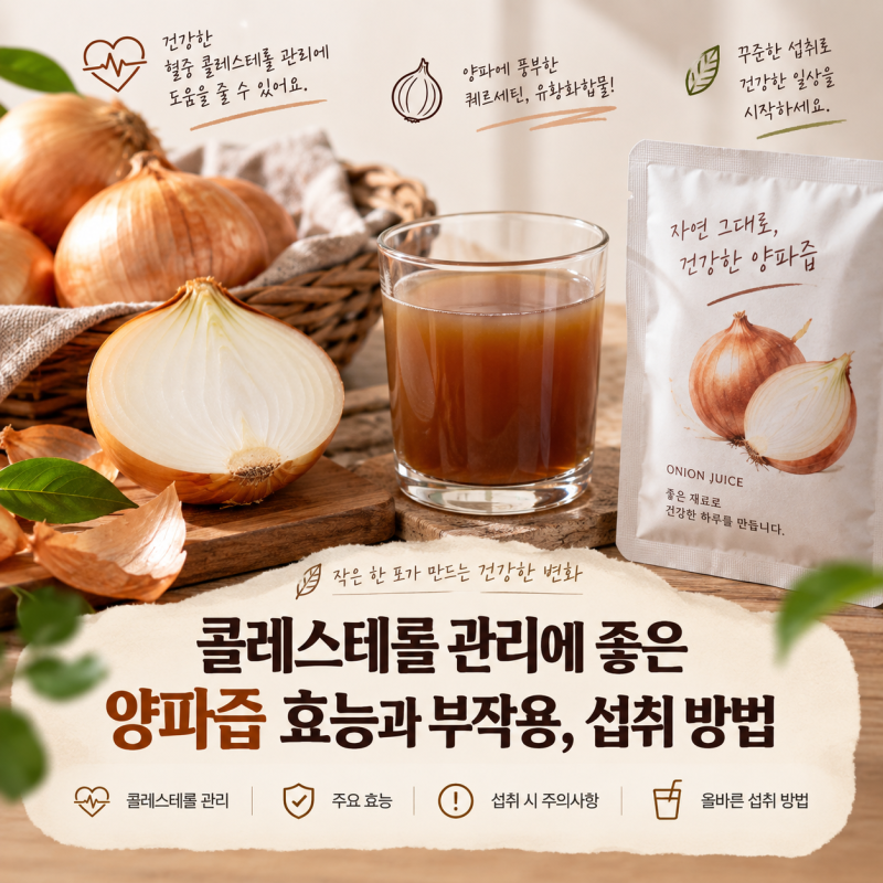 콜레스테롤 관리에 좋은 양파즙 효능과 부작용, 섭취 방법