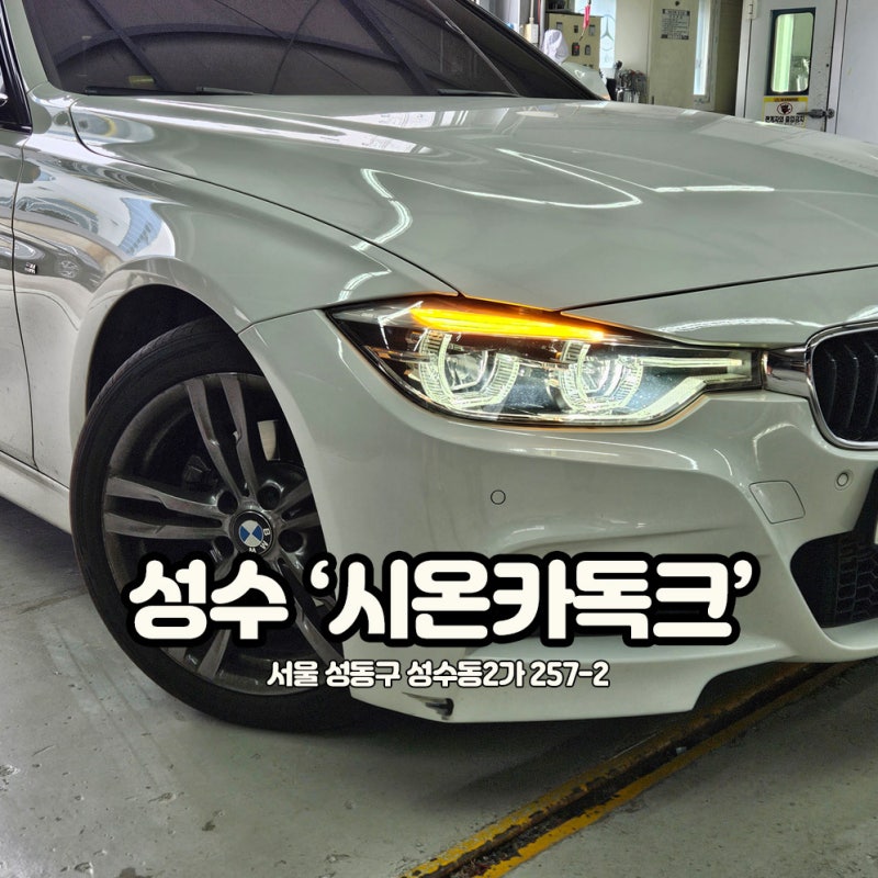BMW 앞 범퍼 긁힘 도색 비용 시온카독크 자동차보험수리 재방문 후기