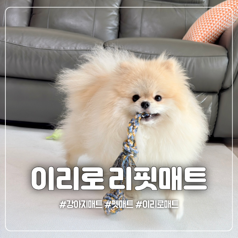 강아지매트 이리로 리핏매트, 미끄럼방지 롤매트 사용 후기