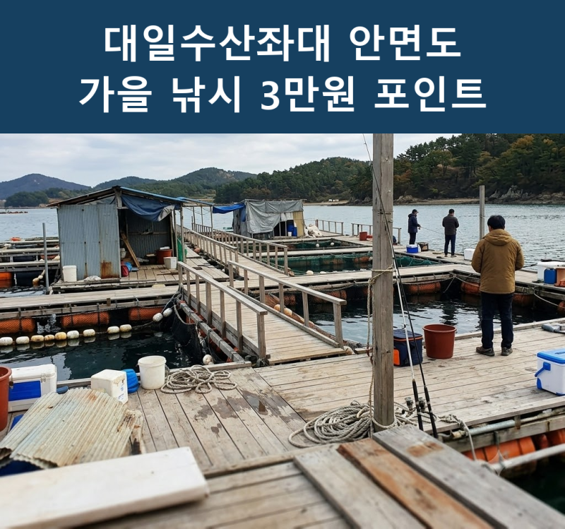 대일수산좌대 안면도 가을 낚시 3만원 요금과 포인트