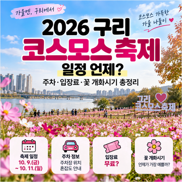 2026 구리 코스모스 축제 일정 언제? 주차·입장료·꽃 개화시기 총정리