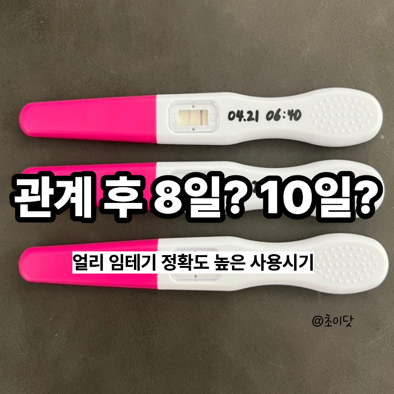 관계 후 8일? 10일? 얼리 임테기 정확도 높은 사용시기