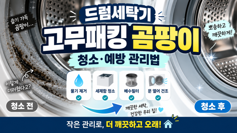 드럼세탁기 고무패킹 곰팡이 청소법｜냄새 나기 전에 이렇게 관리하세요