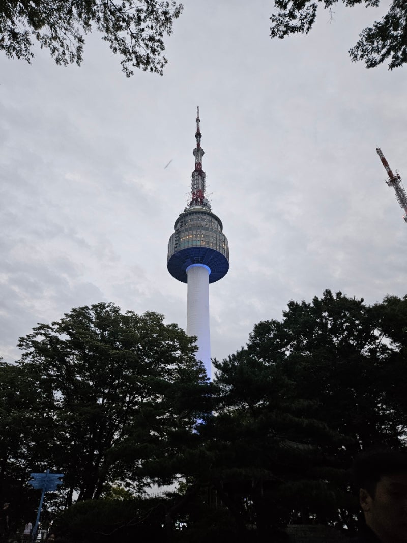 남산케이블카 비용 가격 및 타는곳, 아이와 주말 서울 남산타워 주차부터 총정리