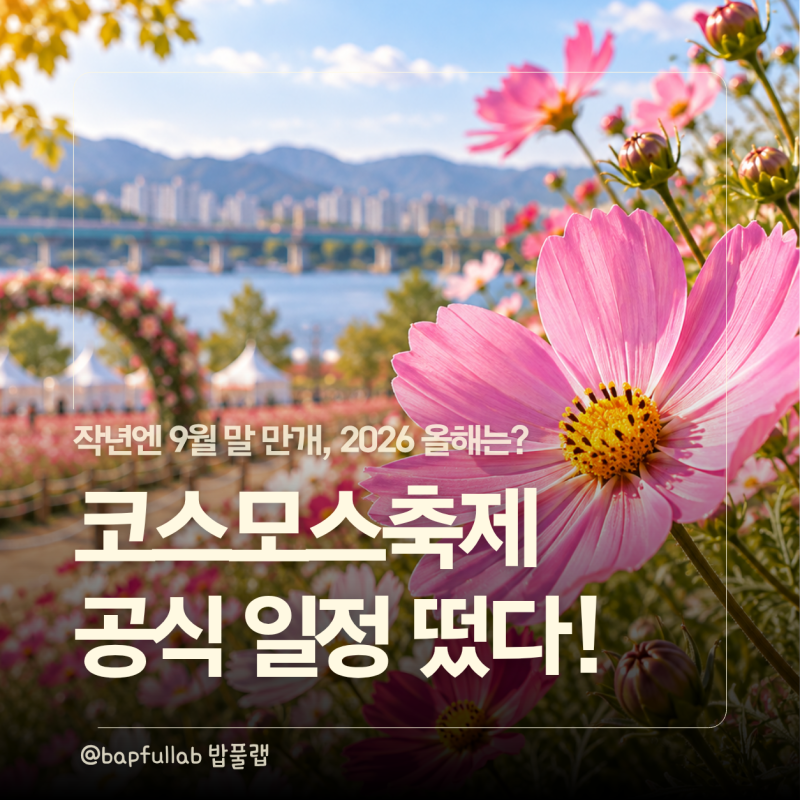 2026 구리 코스모스축제 언제 갈까? 작년 만개 시기·공식 일정·주차 정리
