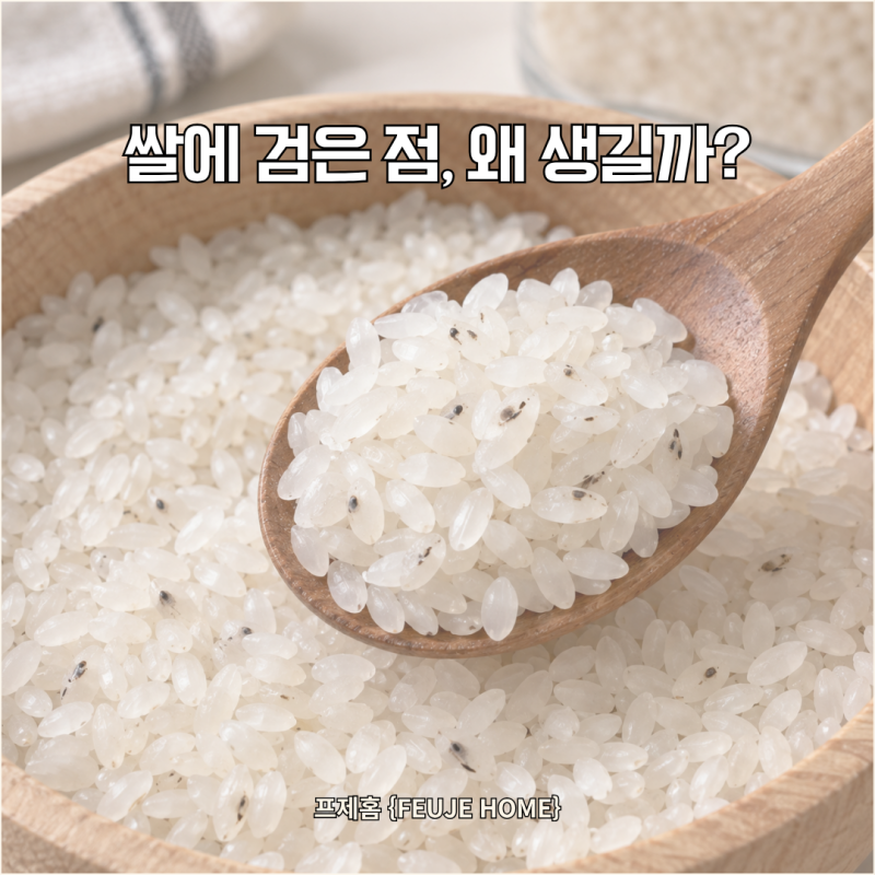 쌀 곰팡이, 검은 점이 보인다면 그냥 먹지 마세요