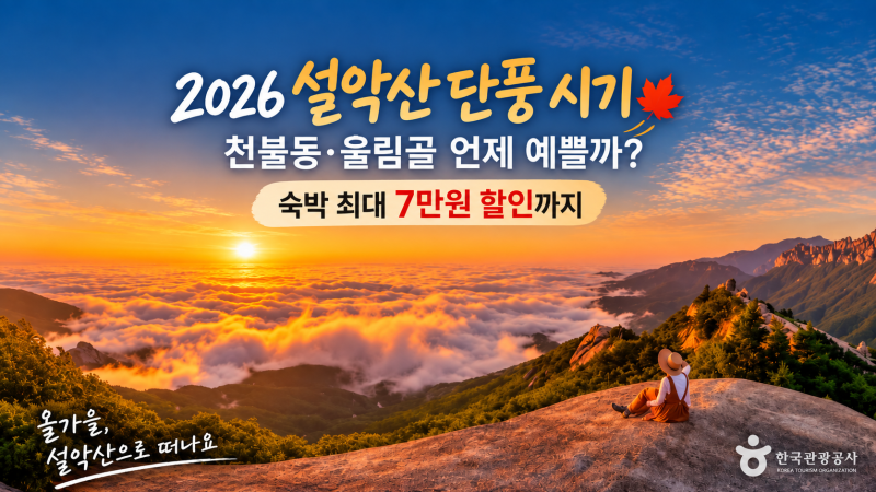 2026 설악산 단풍 시기｜천불동·흘림골 언제 예쁠까, 숙박 최대 7만원 할인까지