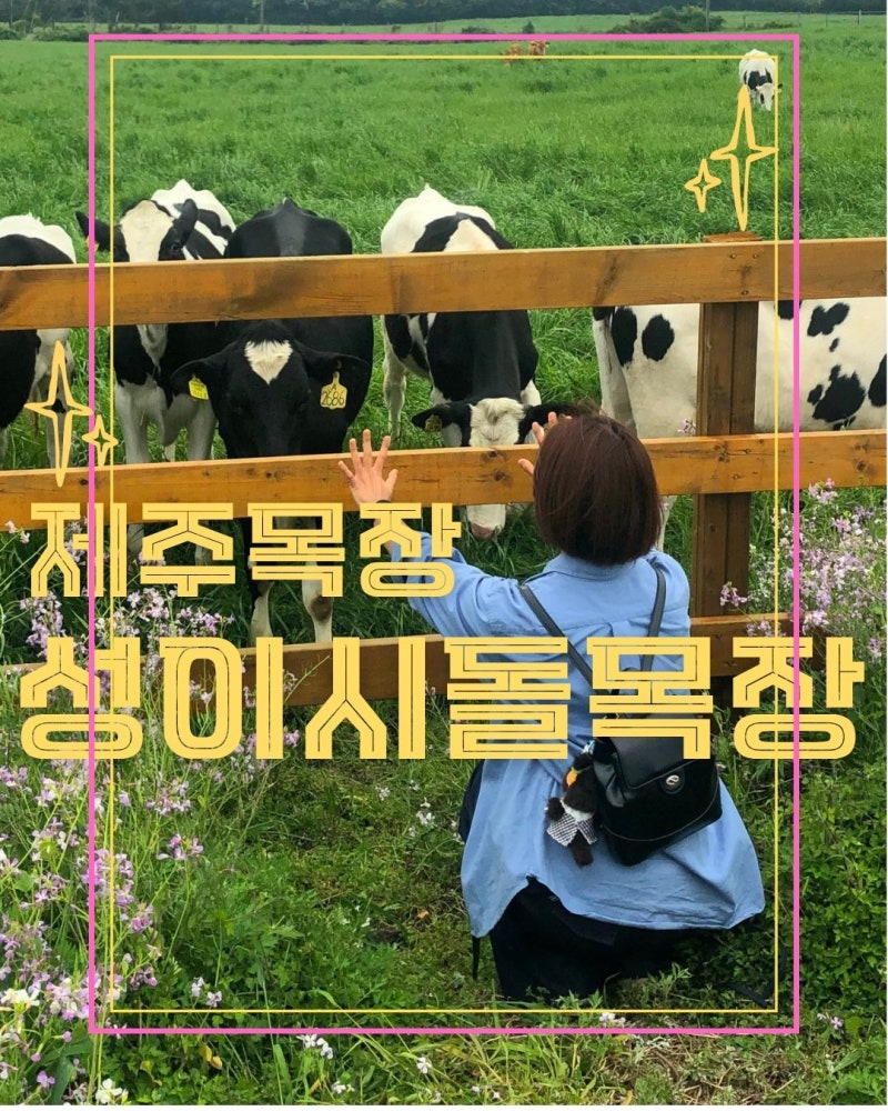 [제주한달살이]제주에서 만난 초록 풍경|제주 성이시돌목장 후기