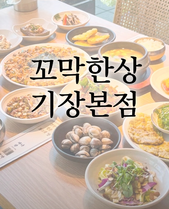 부산 기장 오시리아 맛집 - 롯데월드 아이와 식사는 ‘바다향 꼬막한상 기장본점’ (메뉴·....