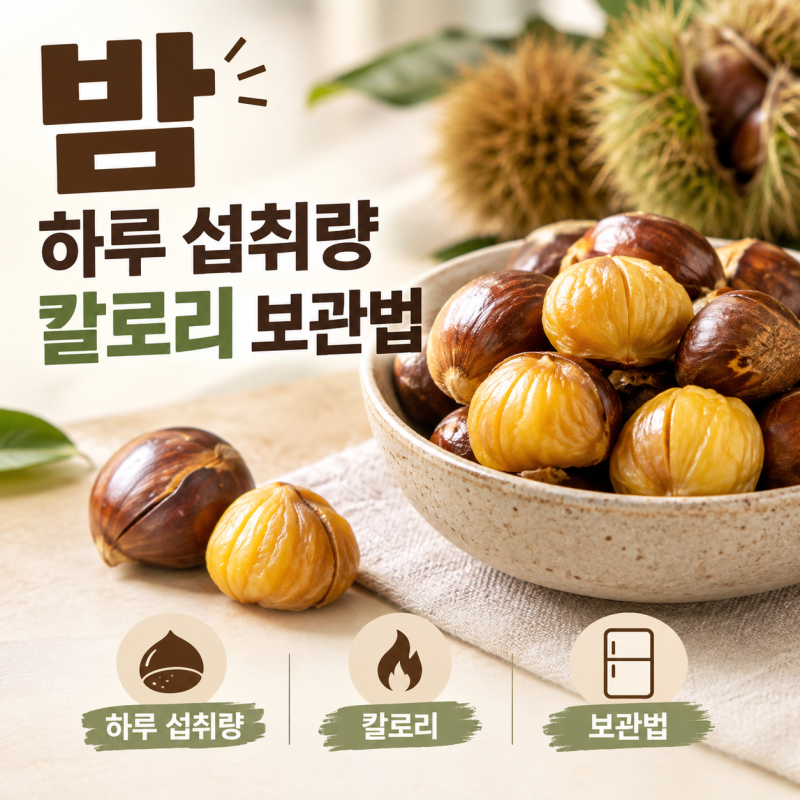 가을 생밤 하루 섭취량 칼로리 썩지 않는 보관법 꿀팁