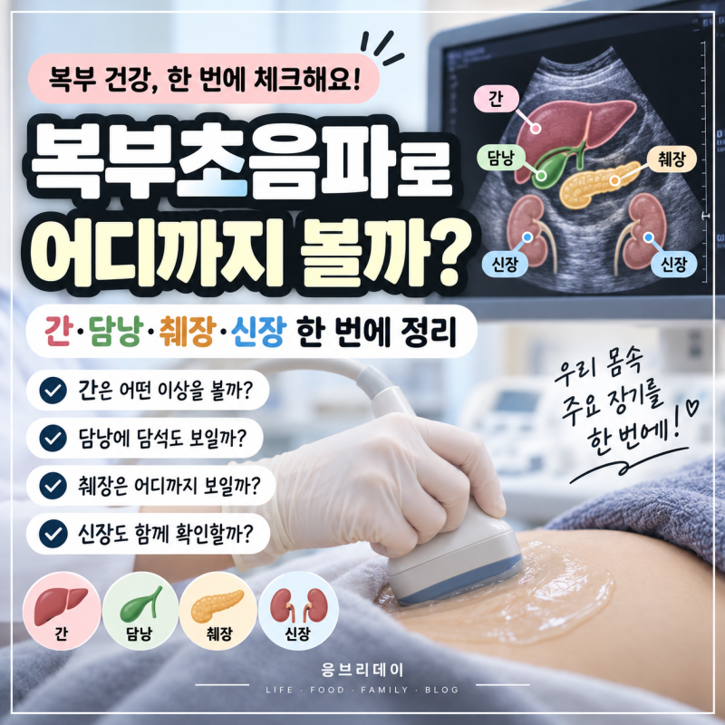 복부초음파로 어디까지 볼까? 초음파하는 방사선사가 쉽게 설명해드릴게요