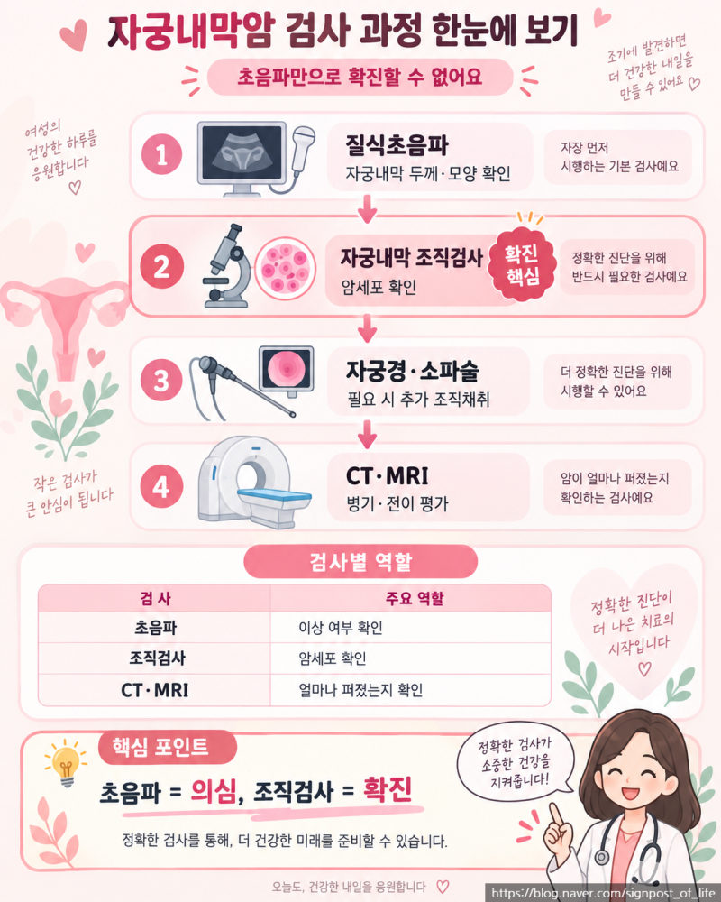 자궁내막암 검사 어떻게 하나요?초음파·내막두께·조직검사 총정리