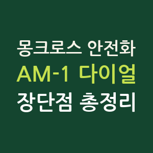 몽크로스 안전화 AM-1 후기, 다이얼 무게 장단점 총정리