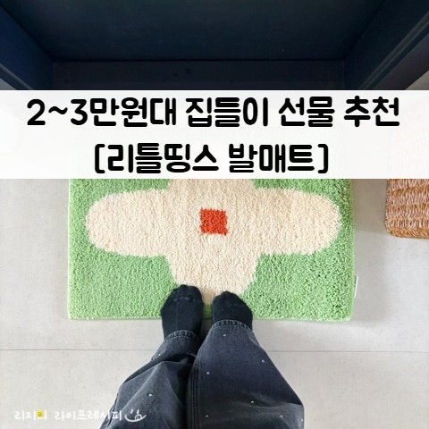 현관 발매트 2만원대 3만원대 집들이 선물 욕실 발매트 리틀띵스 추천 인테리어 포인트 소품