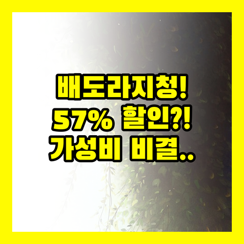 천호엔케어 배도라지청 57% 할인 스틱 120포 가성비 비결