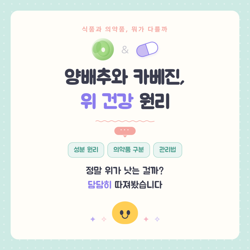 성시경 양배추 레시피 - 속쓰림에 좋다는 양배추와 카베진 원리