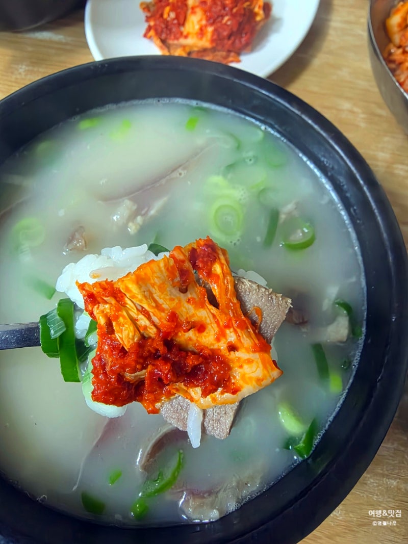 대전맛집 선화동소머리해장국, 매운 실비김치와 참치비빔 꿀팁