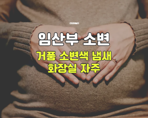 임산부 소변 거품 색 냄새 자주 마려움, 임신 중 괜찮은 변화일까?