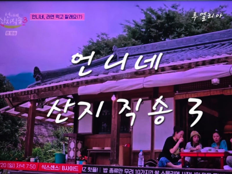 언니네 산지 직송3 4톤장어도 거뜬했다 지진희 등장하자 초토화된 하동 조업 현장