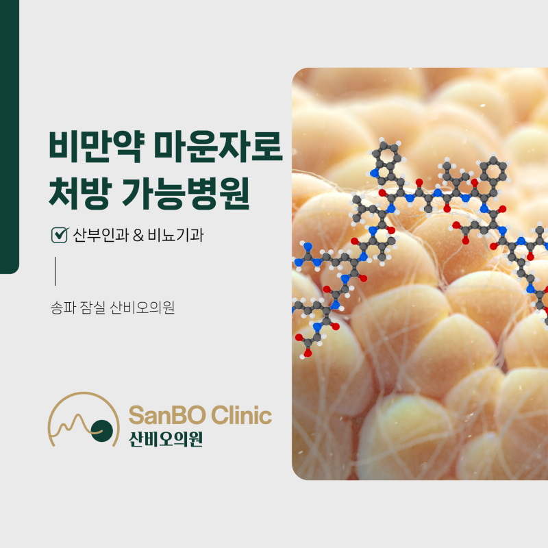 송파 잠실 산부인과 & 비뇨기과 산비오의원 비만약 마운자로 처방 가능병원