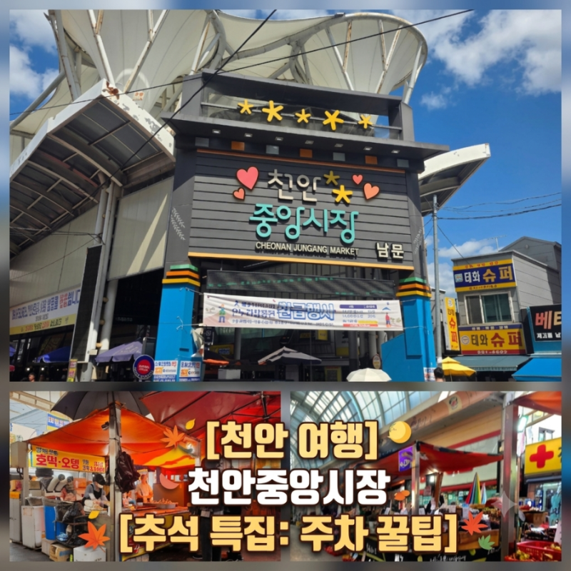 [천안 중앙시장] 온누리상품권 환급&추석 직전 시장 풍경 & 주차 꿀팁 (중앙초 임시주차장 정....