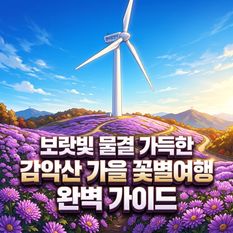 거창 감악산 축제 보랏빛 아스타국화 절정 시기와 추천 코스