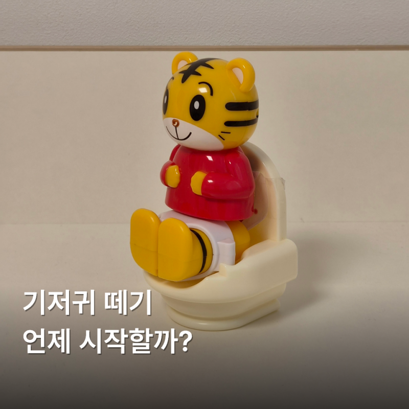 아기 기저귀 떼는 시기와 방법, 배변훈련 팬티 방수요 꿀템 추천