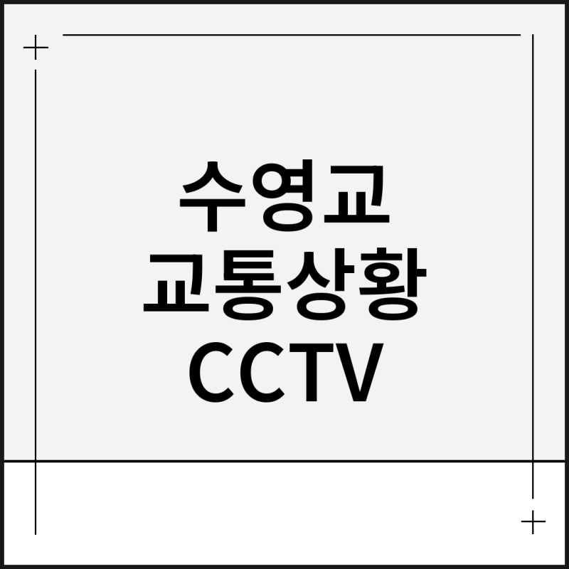 수영교 실시간 교통상황 CCTV 사고통제 확인방법