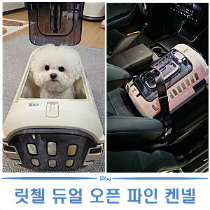 강아지이동장 | 릿첼 듀얼 오픈 파인 켄넬 비숑 사용 후기
