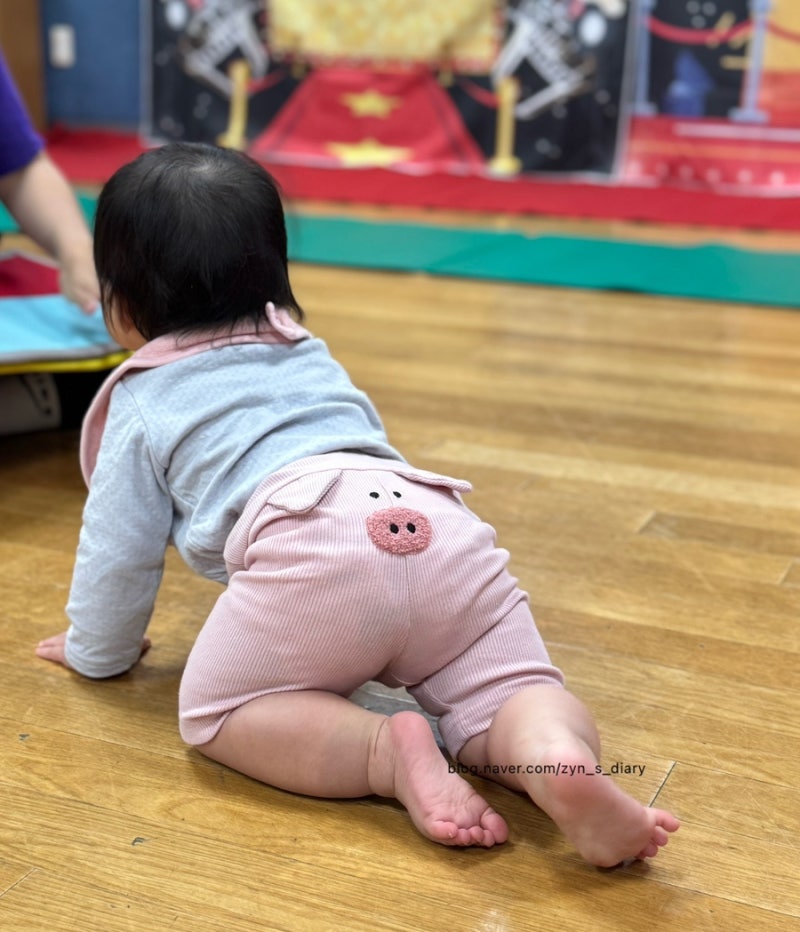 [아기 꾸미기] 보나츠 씨스프레이 드타미 코니
