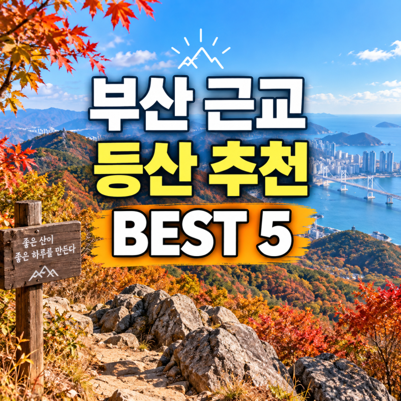 부산 근교 등산 명소 추천 5곳, 초보자도 주말에 다녀오기 좋은 산