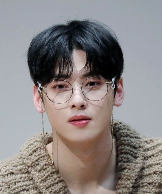 "팬이라더니..." 차은우 사생활 도청한 50대 여성체포, 충격적인 사건 전말