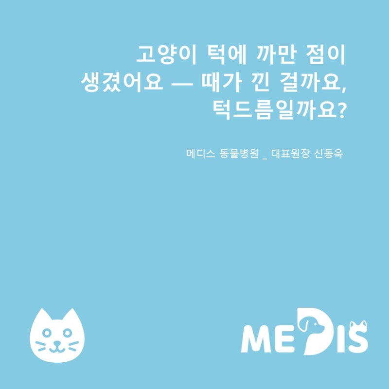 [수의사의 진료실 노트 #0120]고양이 턱에 까만 점이 생겼어요 — 때가 낀 걸까요, 턱드름일까....