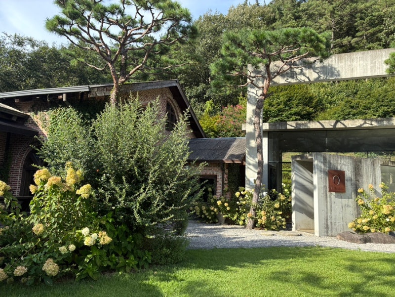 전주 근교 주말 가볼만한 곳｜완주 오스갤러리, 송광사와 함께 다녀온 하루