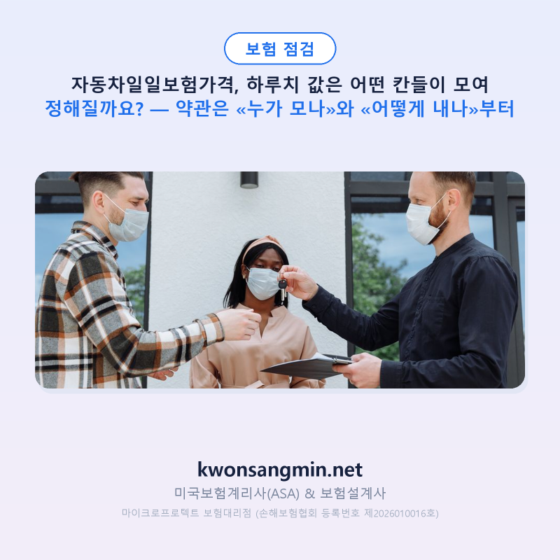 자동차일일보험가격, 하루치 값은 어떤 칸들이 모여 정해질까요? — 약관은 «누가 모나»와 ....