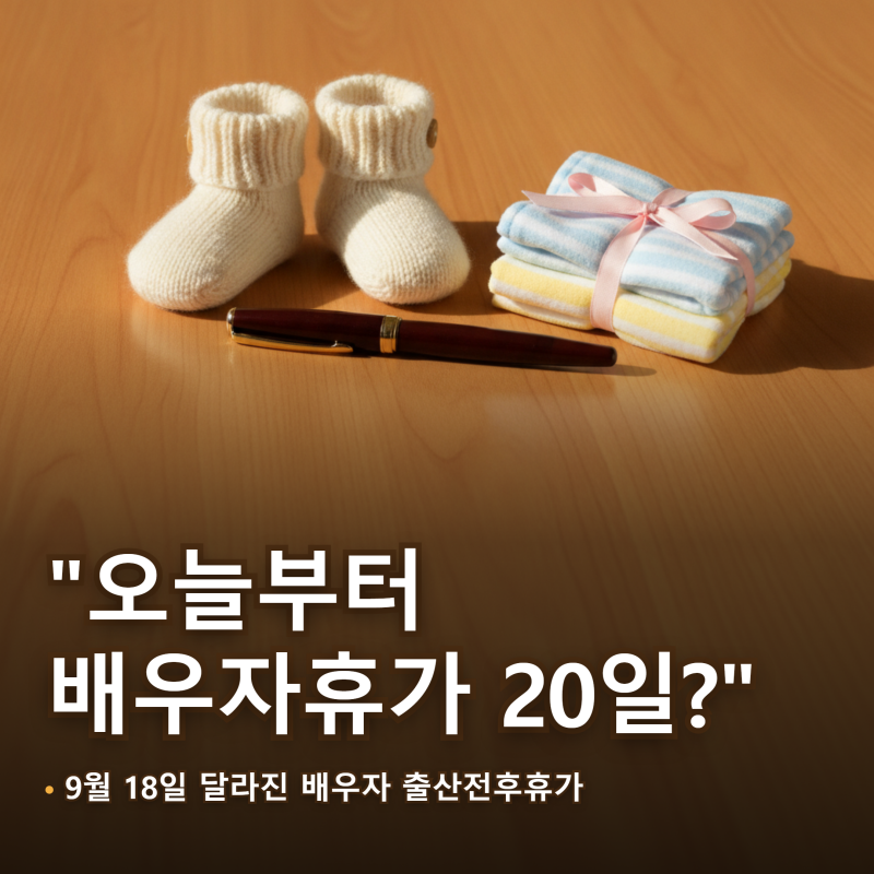 배우자 출산휴가 "오늘부터 20일?" 9월 18일 달라진 건 50일 전 사용
