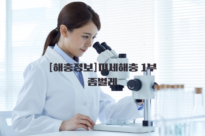 해충정보-미세해충[1부]좀벌레, 옷장에 나타난 은빛 생명체...