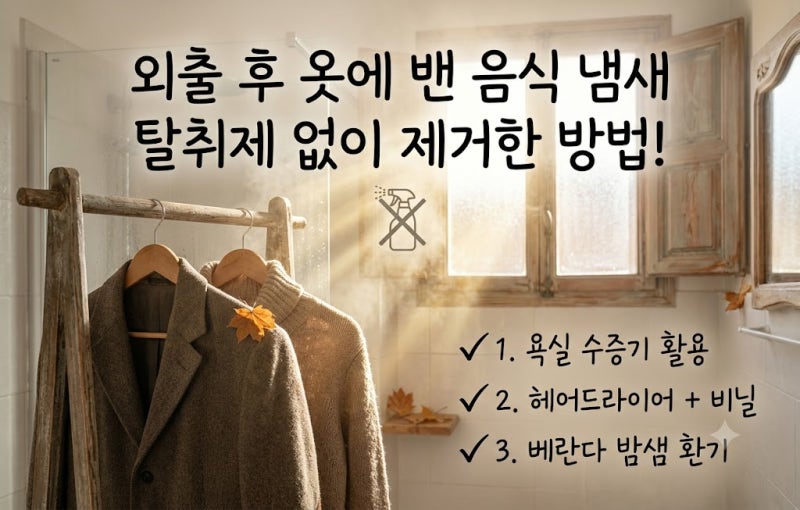 외출 후 옷에 밴 음식 냄새 탈취제 없이 제거한 방법