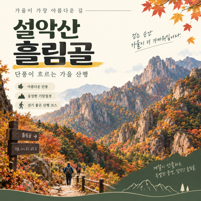 2026 설악산 흘림골 예약 방법｜10월 단풍 코스·시간·주차 총정리