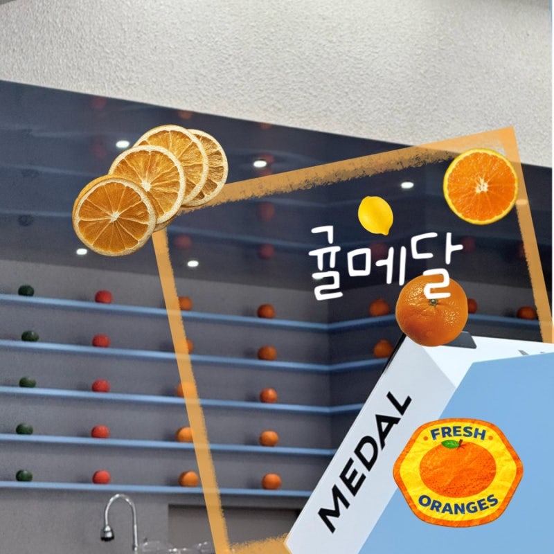 제주 귤메달 하우스 :) 제주 카페 추천 / 제주공항 근처 가볼만한 곳 / 귤메달 티셔츠 굿즈 소....