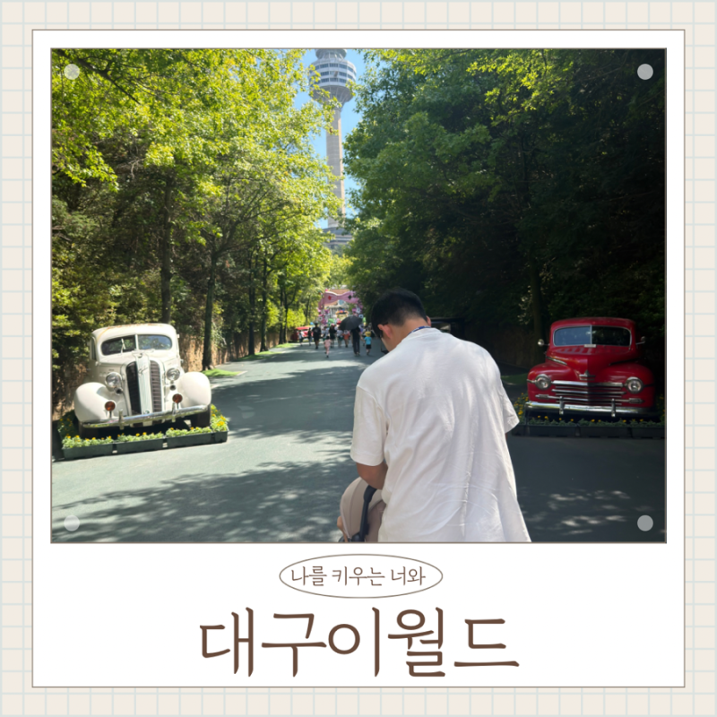 대구 이월드 아이랑 주주팜 먹이체험 퍼레이드 43개월 유아 놀이기구 후기
