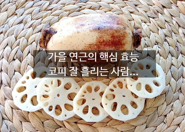 [연근 효능] 5가지 핵심 효능과 영양성분, 올바른 조리법부터 좋은 연근 고르는 법까지