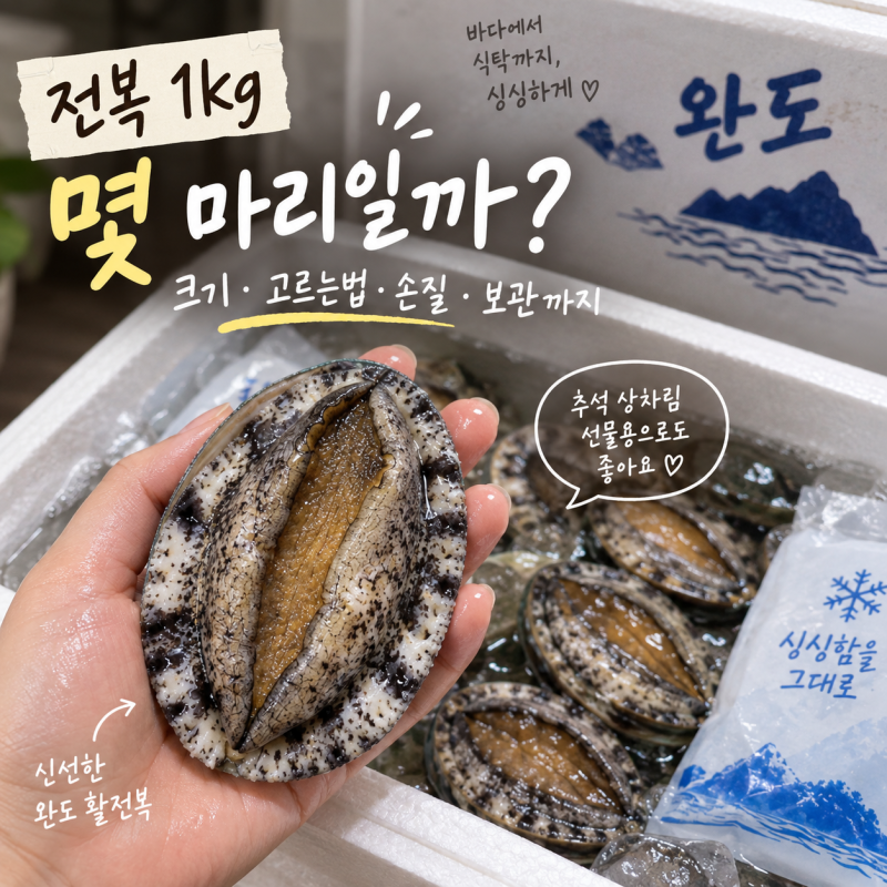 전복 1kg 몇 마리일까? 활전복 크기 고르는법·손질·보관까지