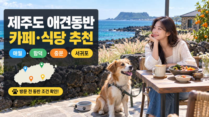 제주도 애견동반 카페·식당 추천｜애월·함덕·중문·서귀포 지역별 정리