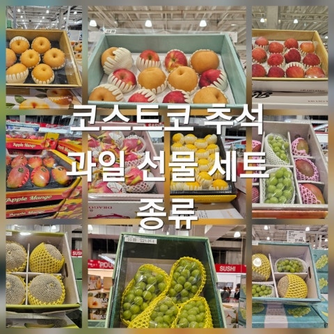 코스트코 추석 과일 선물세트 종류 가격