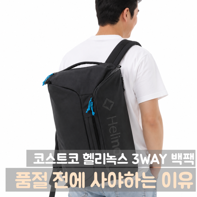 코스트코에서 헬리녹스 가방을 살 수 있다고? 품절 전에 사야하는 이유