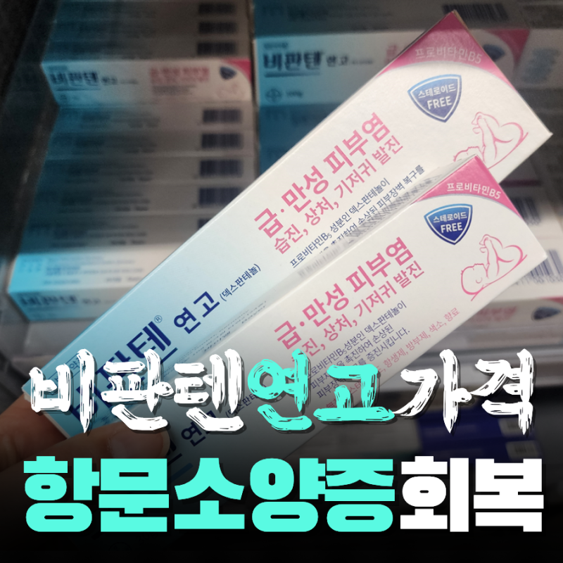 비판텐 연고 가격 약국 비교와 성인 피부염 사용법