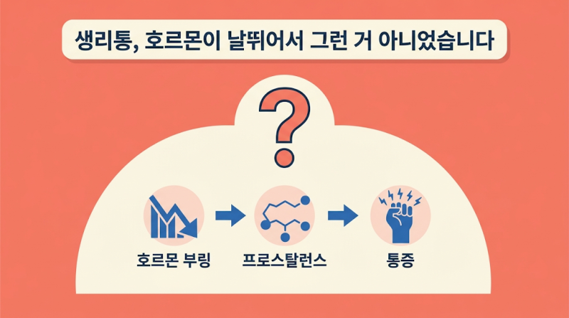 생리통 심한 이유, 호르몬이 날뛰어서 그런 거 아니었습니다